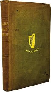 Image result for Peadar O`dornin College