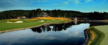 Image result for Fox Gc