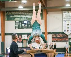 Image result for York University Gymnastics Club