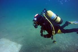 Image result for Barnsley BSAC Divers