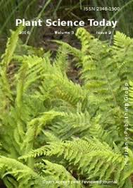 Attēlu rezultāti vaicājumam “Leiocolea collaris”