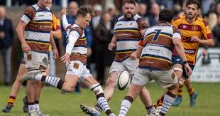 Image result for Southend Rugby Football Club Ltd