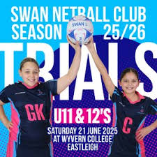 Image result for Wyvern Ladies Netball Club