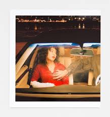 Image result for nikki lee