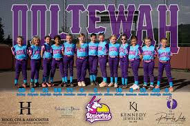 Image result for Cheetahs Softball Team