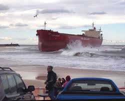 Image result for Pasha bulker