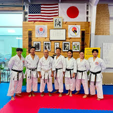 Image result for Hetton and Murton Karate Academy