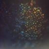 Attēlu rezultāti vaicājumam “Diachea subsessilis stalked”