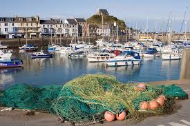 Image result for Ilfracombe & N Devon