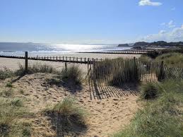 Image result for Dawlish Sc