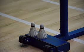 Image result for Falcons Badminton Club