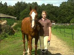 Image result for Cliff Hatch Stables