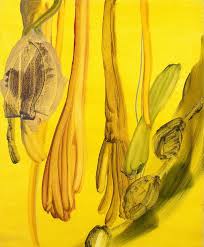 Image result for borte h