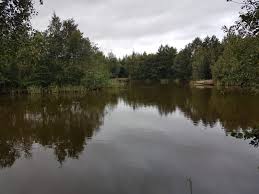 Image result for Wakefield Angling Club