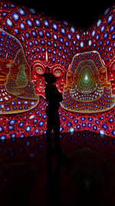 Image result for Alex gray