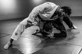 Image result for Team Renegade BJJ & Judo