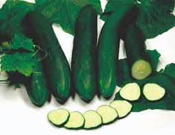 Image result for Gurke