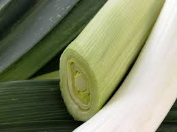 Image result for Porree