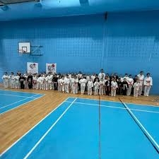 Image result for Junsui Shotokan Karate Do