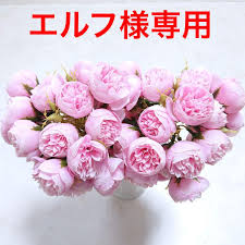 「花薔薇エルフ」の画像検索結果