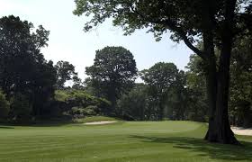 Image result for Pelham Korfball Club