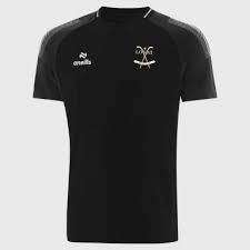 Image result for Lovat Shinty Club