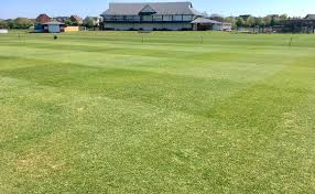 Image result for Wembdon Cricket Club