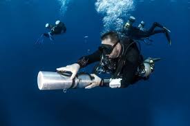 Image result for Headstream Divers