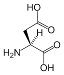 File:L-<b>aspartic</b>-<b>acid</b>-skeletal.