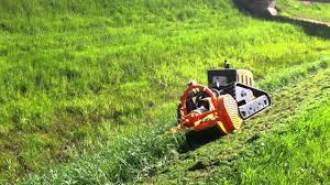 Image result for roboflail tehron