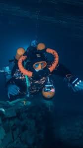Image result for innerspace divers