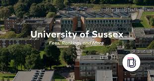 Image result for University Of Sussex