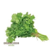 Image result for Kerbel