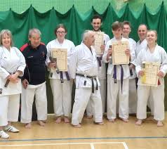 Image result for Ji Shin Do Karate