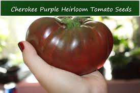 Afbeeldingsresultaat voor dark purple beefsteak tomato