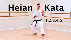 Image result for Shotokan Karate