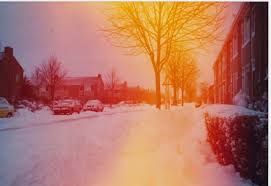 Image result for geeuw