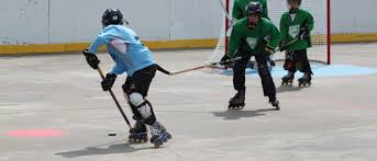 Image result for Urban Knights Inline Roller Hockey