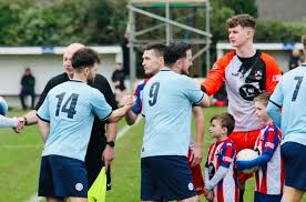 Image result for Dearne & District F C