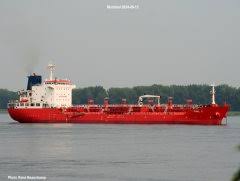 Image result for owl ship