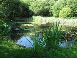 Image result for Yateley and Hawley Bridge Club