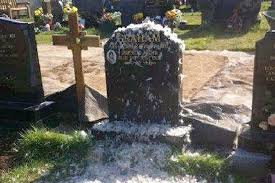 Image result for Ballymena Vandals