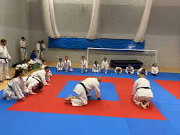 Image result for Croydon Judo Club