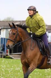 Image result for Porlock Vale Riding School