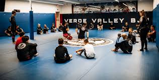 Image result for Derwent Valley Ju-Jitsu Academy