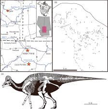 Bildergebnis für corythosaurus