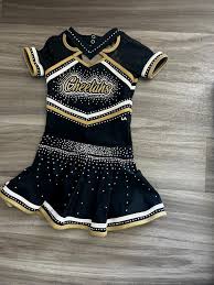 Image result for Chiltern Cheetahs