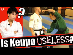 Image result for Kenpo Karate Club