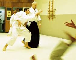 Image result for Fudokai Aikido Dojo