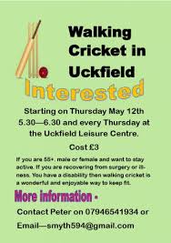 Image result for Hadlow Cricket Club